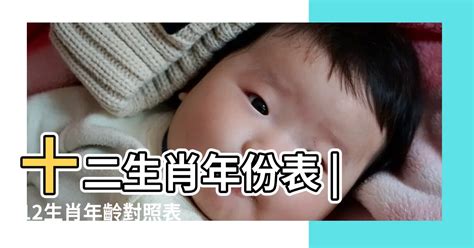 14歲屬什麼|12生肖年齡對照表